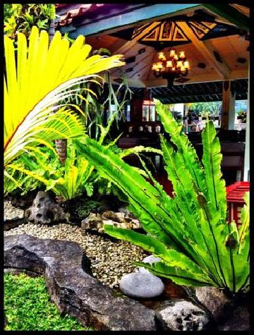 GARDEN BESIDE RESTAURANT