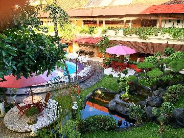 BEAUTIFUL GARDEN BESIDE SWIMMING POOL